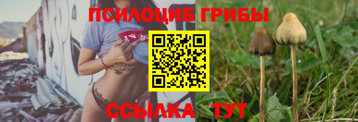 Тулун  Галлюциногенные грибы ЛСД  Вход с VPN 
